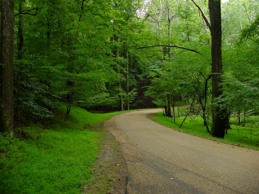 Photography by jodyberry for DesignCrowd (Community Contests) | Design #9061006