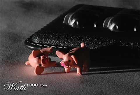 Photography by kimbomac