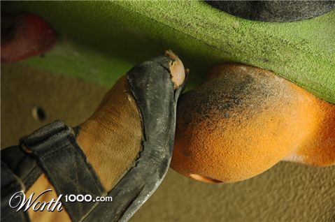 Photography by bvanderhofstede