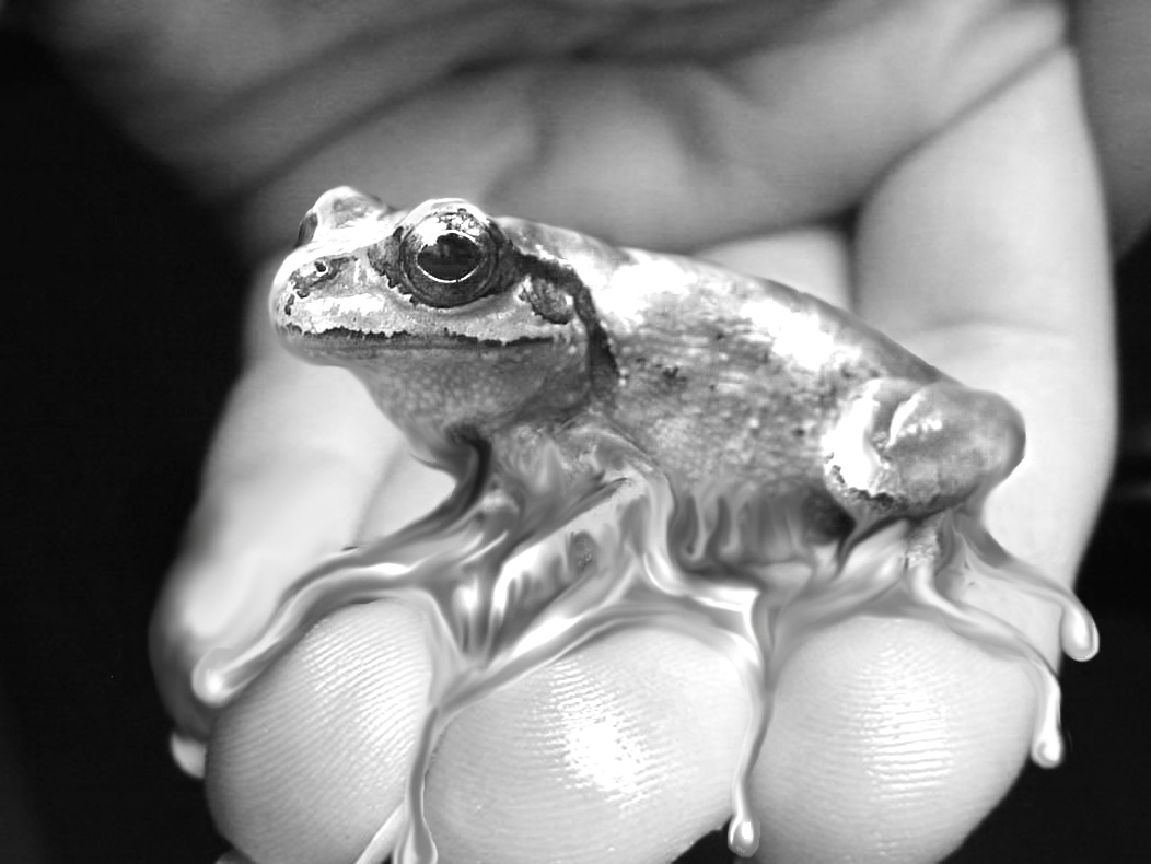 Photoshop Design by denniswitjes for DesignCrowd (Community Contests) | Design #9059871