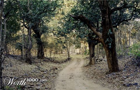 Photography by ManavSinghi