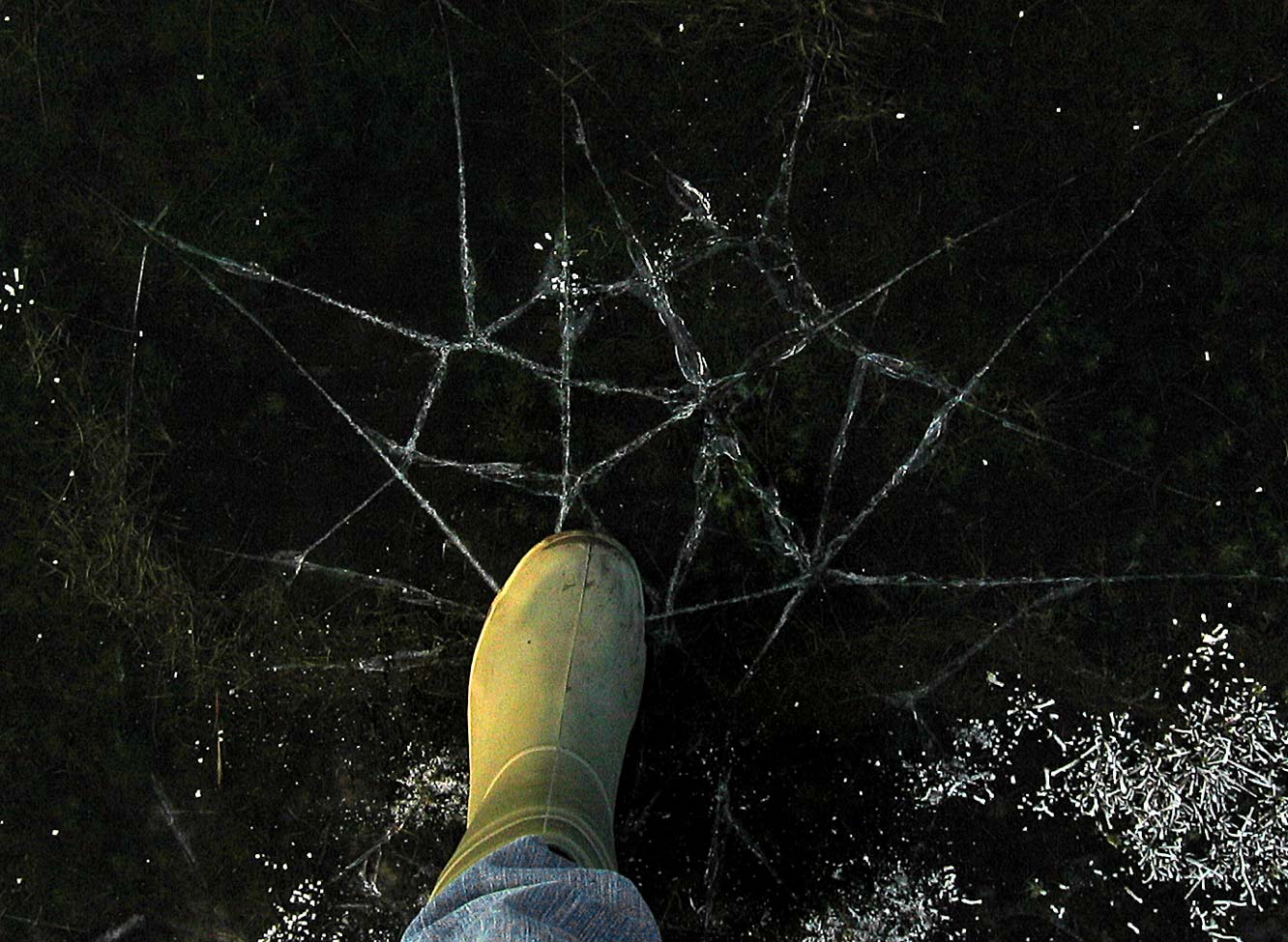 Photography by egonlinden for DesignCrowd (Community Contests) | Design #9047970