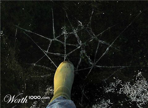 Photography by egonlinden