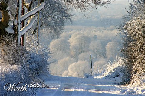 Photography by DurhamTyke