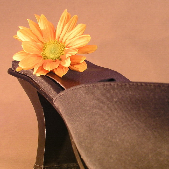 Photography by mzmzmzmz for DesignCrowd (Community Contests) | Design #9047912