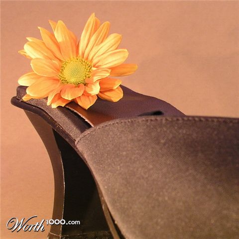 Photography by mzmzmzmz