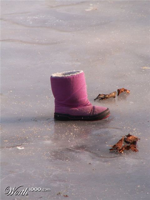 Photography by xfreetwo