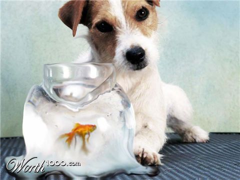 Photoshop Design by dettemelow