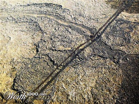 Photography by Maddyy