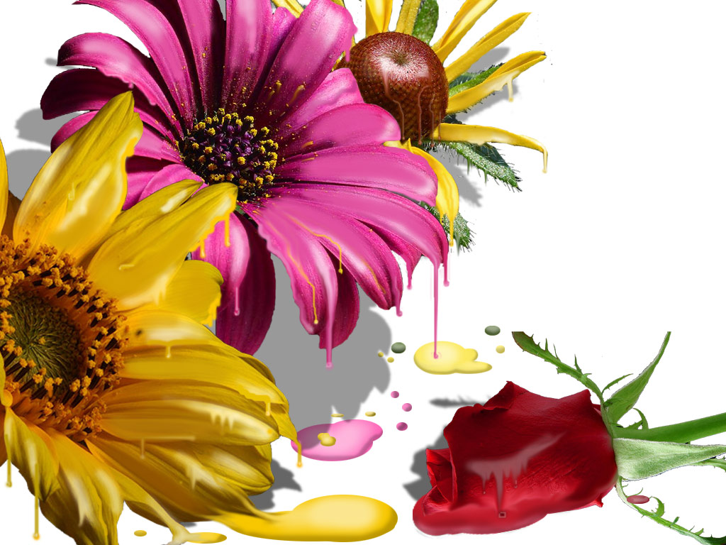 Photoshop Design by sk8rox for DesignCrowd (Community Contests) | Design #9059847