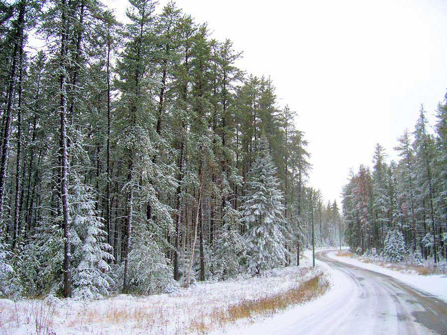 Photographie par niibiishan pour DesignCrowd (Community Contests) | Design #9061094