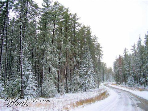 Photography by niibiishan