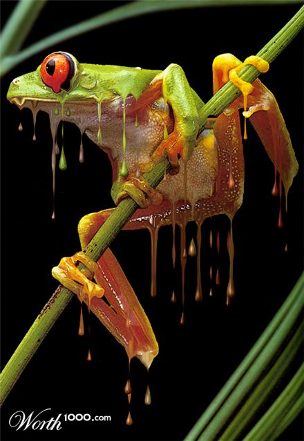 Photoshop Design by cameon