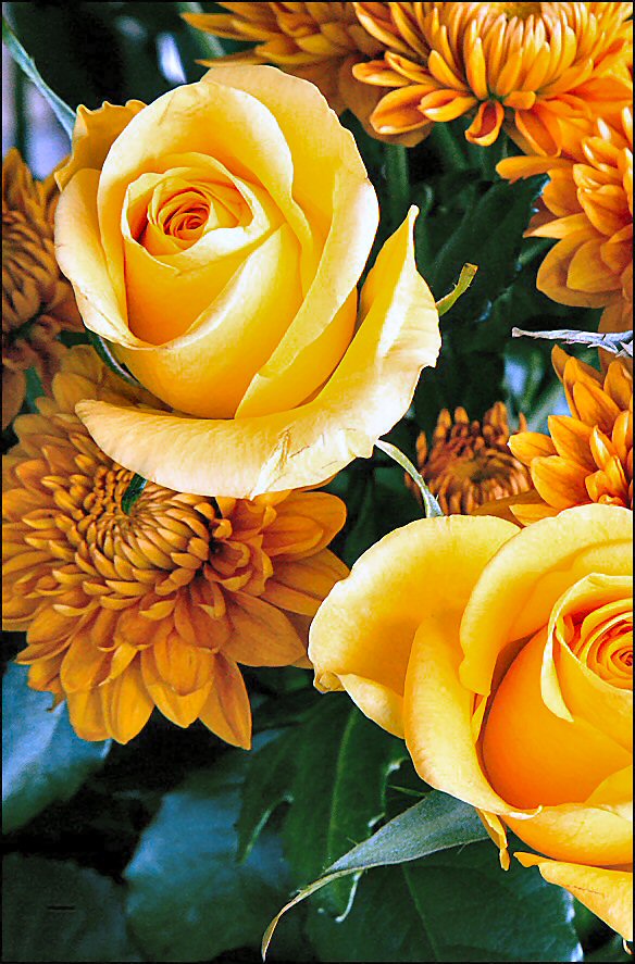 Photographie par Juicer pour DesignCrowd (Community Contests) | Design #9060737