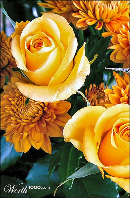 Photography by Juicer