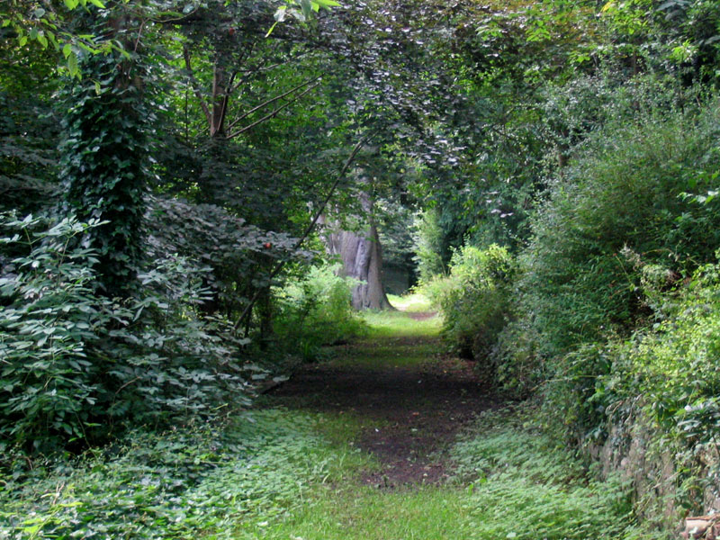 Photography by Marthese for DesignCrowd (Community Contests) | Design #9061112