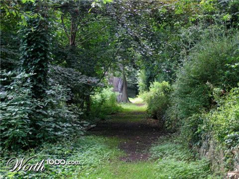 Photography by Marthese