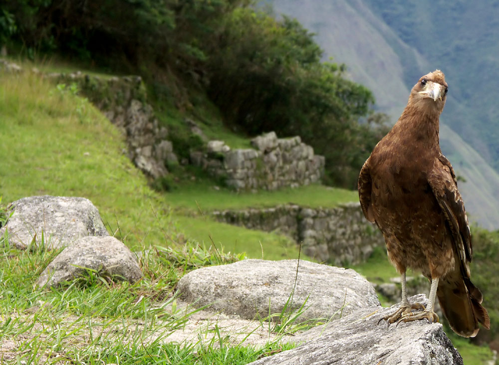 Fotografie von Rouwkema für DesignCrowd (Community Contests) | Design #9048809