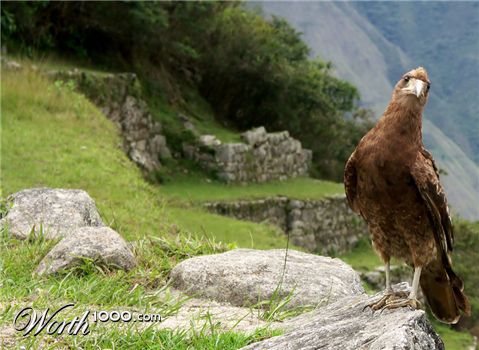 Photography by Rouwkema