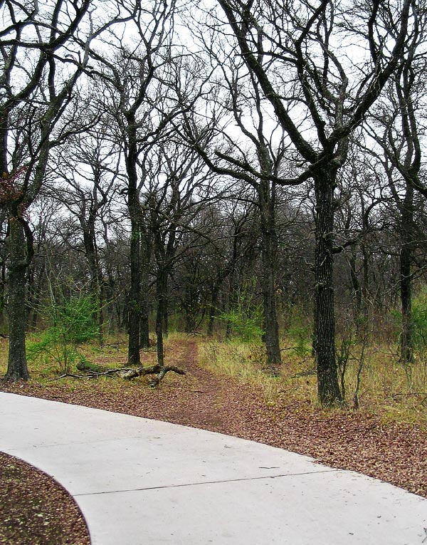 Photography by theLimeyBrit for DesignCrowd (Community Contests) | Design #9061052