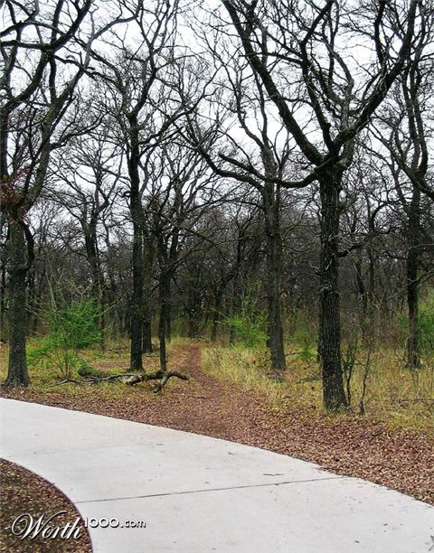 Photography by theLimeyBrit