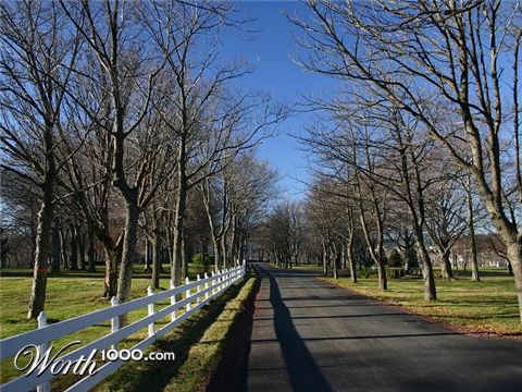 Photography by KarenC