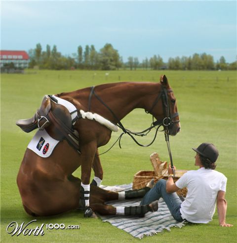 Photoshop Design by Penbender