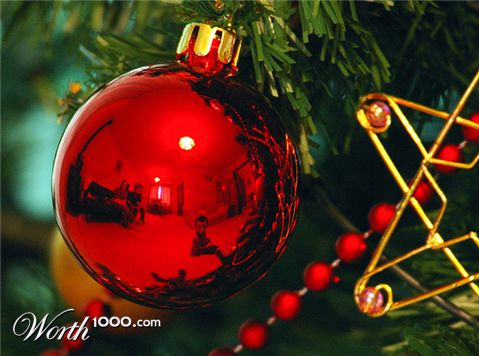 Photography by smarti77