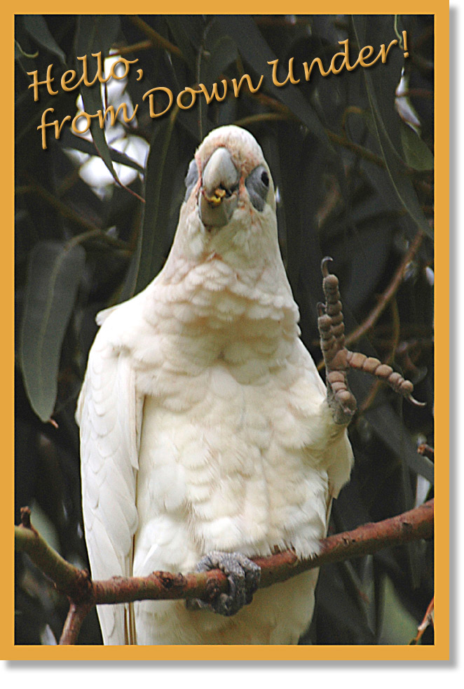 Fotografie von kimbomac für DesignCrowd (Community Contests) | Design #9056324