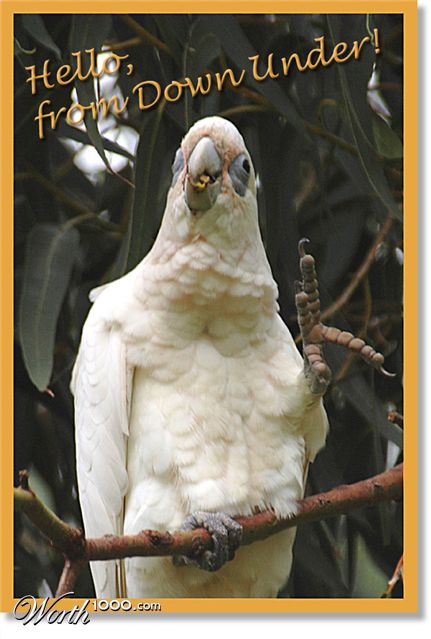 Photography by kimbomac