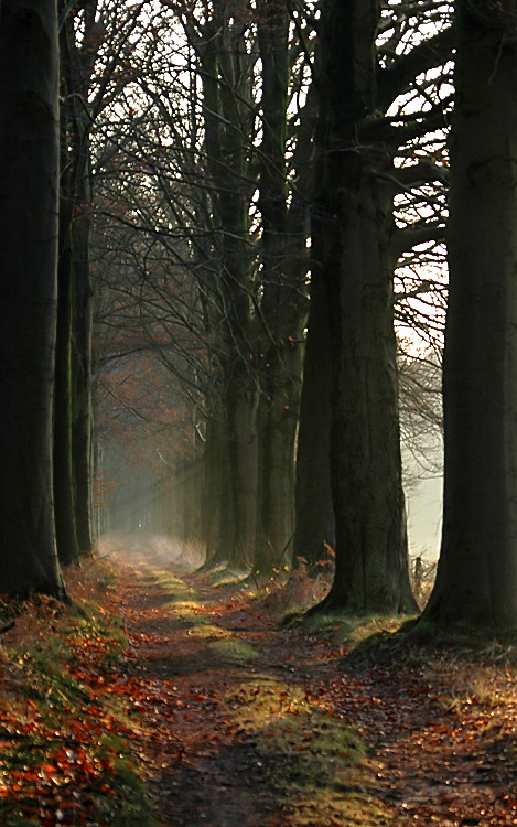 Fotografía por Marian para DesignCrowd (Community Contests) | Diseño #9061081