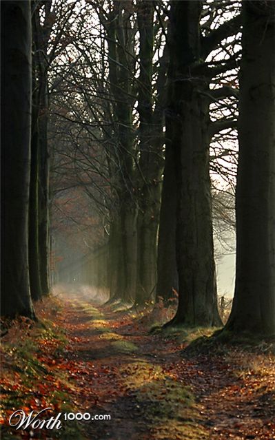 Photography by Marian