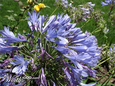 Photography by momobbf