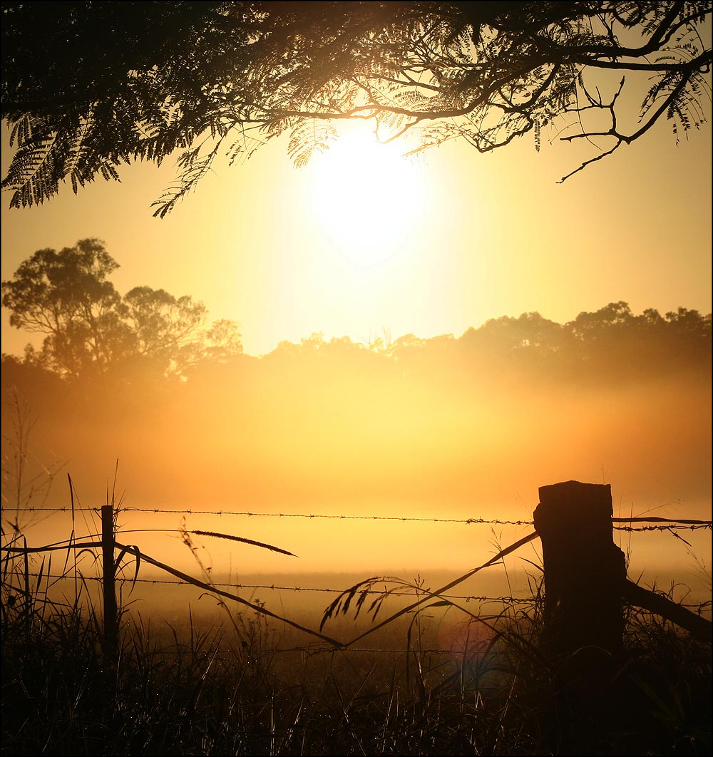 Photographie par mated1976 pour DesignCrowd (Community Contests) | Design #9048853