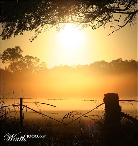 Photography by mated1976