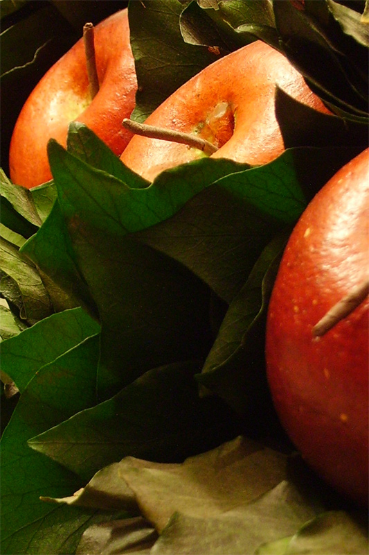 Fotografía por IsleofJura para DesignCrowd (Community Contests) | Diseño #9060761