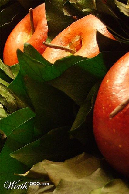 Photography by IsleofJura