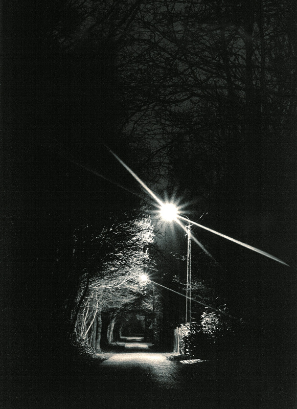 Fotografie von GinniFlanders für DesignCrowd (Community Contests) | Design #9061254