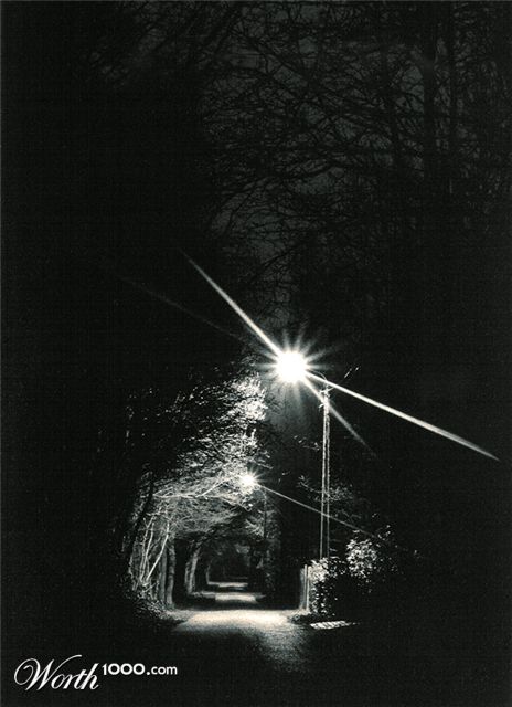 Photography by GinniFlanders