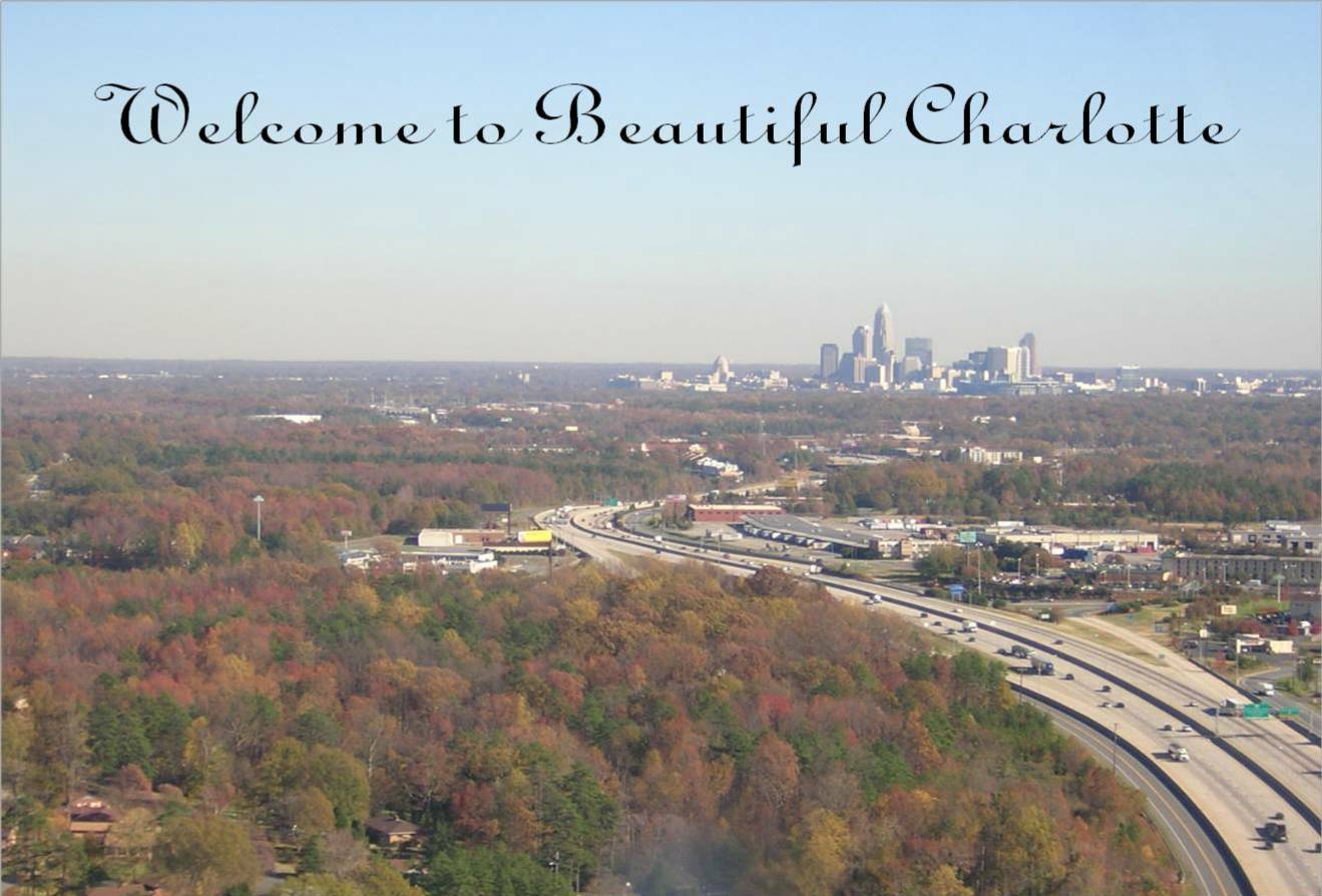 Photography by moxieshark for DesignCrowd (Community Contests) | Design #9056399