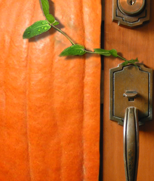 Photoshop Design by gunmetal for DesignCrowd (Community Contests) | Design #9059257