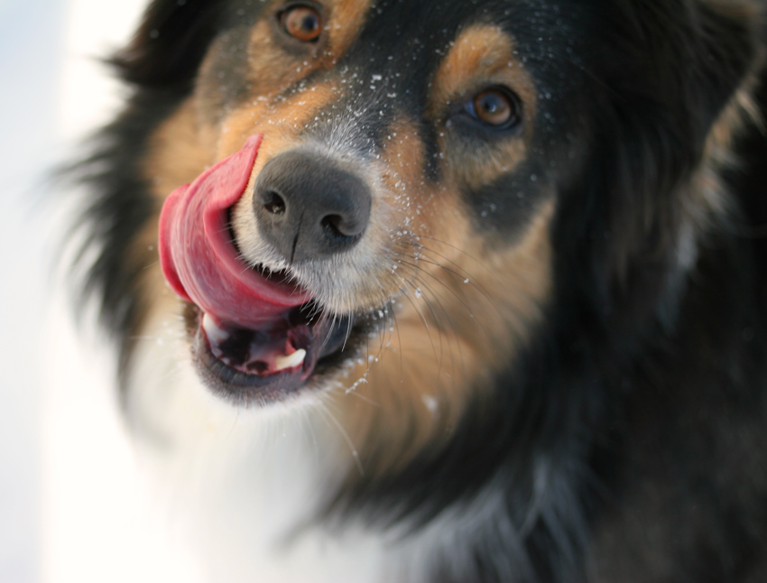 Fotografie von lilmart für DesignCrowd (Community Contests) | Design #9070131