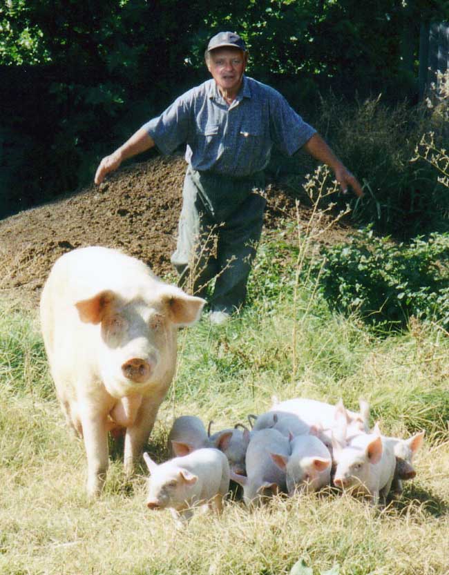 Photoshop-Design von Bobz für DesignCrowd (Community Contests) | Design #9058974