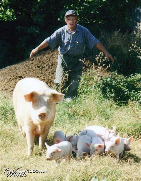 Photoshop Design by Bobz