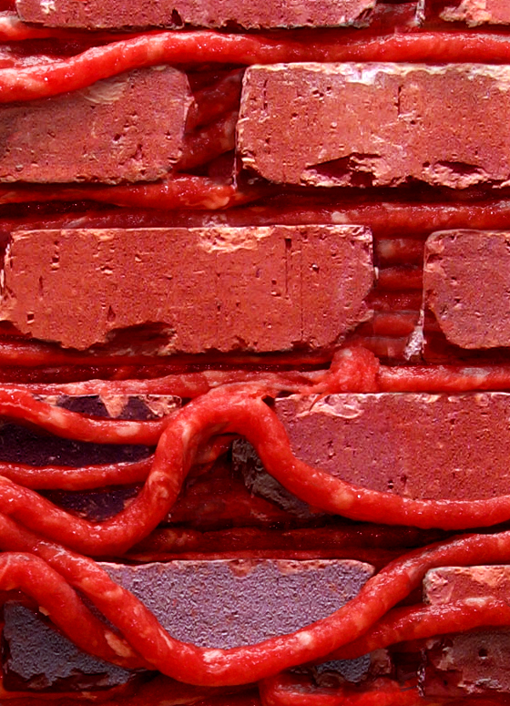 Design Photoshop par Dziedzic pour DesignCrowd (Community Contests) | Design #9059272