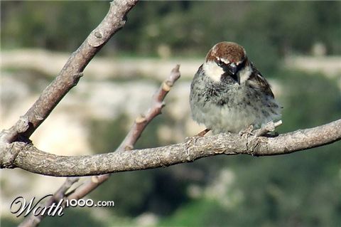 Photography by Marthese