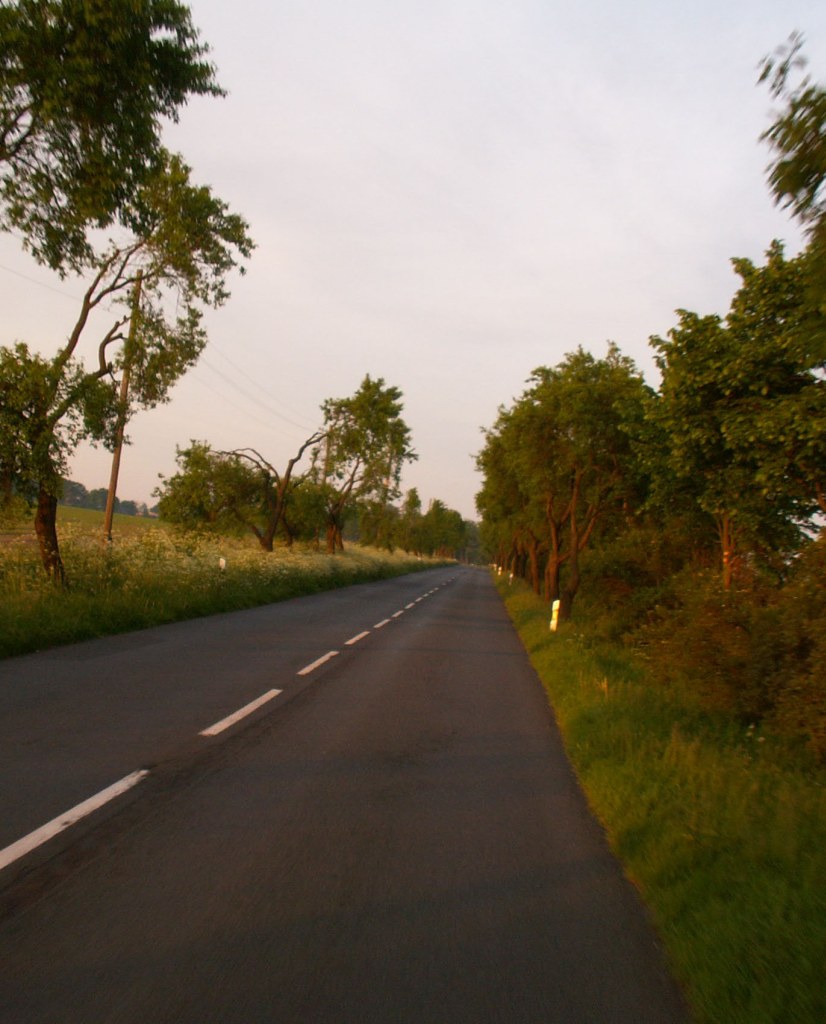 Photography by xfreetwo for DesignCrowd (Community Contests) | Design #9061154