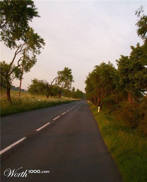 Photography by xfreetwo