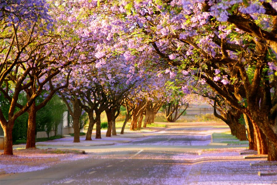 Photography by masher66 for DesignCrowd (Community Contests) | Design #9061246