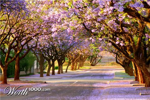 Photography by masher66